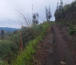 Kawasan Konservasi Bromo Beralih Jadi Lahan Bisnis, Hutan Terancam Gundul