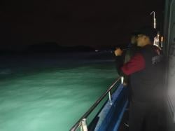 BBKSDA Bareng PT MEG Patroli Buru Buaya Lepas dari Penangkaran Pulau Bulan