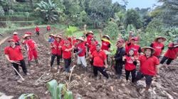 Solusi Tanaman Alternatif di Lahan Miring Desa Lerep, Kawasan Gunung Ungaran