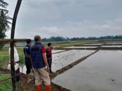 Petani di Purbalingga Tewas Tersambar Petir