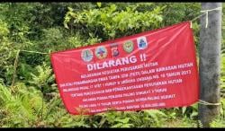 Dampak Tambang Ilegal di Lebak: Kaya Emas, Miskin Masa Depan!