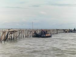 TNI AL Bongkar Pagar Laut Misterius 30 Km di Tangerang atas Perintah Presiden  Prabowo