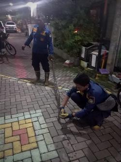 Heboh! Ular Piton Panjang 2 Meter di Plafon Rumah, Penghuni Panik