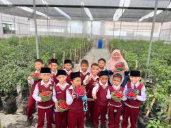 Pondok Pesantren Darul Ilmi Murni Panen Raya Cabe Merah Green House