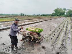 Dukung ketahanan pangan anggota polres mojokerto pilih bertani usai dinas