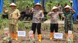 Dukung Ketahanan Pangan, Polres Boyolali dan Dinas Pertanian Tanam Jagung di Banyudono