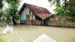 Anak Sungai Bengawan Solo Meluap, Membanjiri Beberapa Wilayah di Kabupaten Ngawi