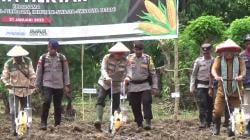 Dukung Asta Cita, Kapolda NTT Tanam Jagung di Letneo Timor Tengah Utara