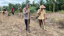 Penanaman Jagung Serentak 1 juta HA, Polres Way Kanan Manfaatkan Lahan Perkebunan di Blambangan Umpu