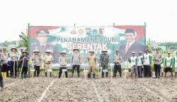 Lamongan Targetkan 56 Hektar Lahan untuk Penanaman Jagung pada 2025