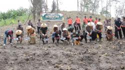 Polres Nganjuk Tanam Jagung di Lahan 2 Hektar untuk Dukung Ketahanan Pangan Nasional