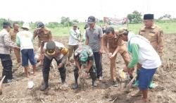 Jadi Tuan Rumah Penanam Satu Hektar Jagung, Ini Harapan Desa Wringinanom