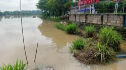 Akibat Tanggul Jebol, Area Persawahan di Desa Bringinan Ponorogo Terendam