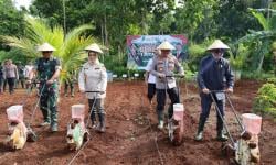 Dukung Program Prabowo Subianto, Polres Sukoharjo Tanam Jagung Serentak