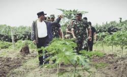 Pj Bahtiar Tinjau Perkebunan di Mamuju, Diproyeksi Jadi Pusat Edukasi Pangan