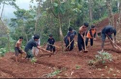 Ponpes Kebangsaan Siti Aminah Pasir Maung Subang Dukung Ketahanan Pangan Nasional