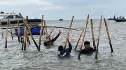 Buat Tambak Kerang Hijau, Sebagian Pagar Bambu Tangerang Diberikan ke Nelayan