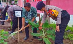 Unik, Warga Desa Bringinan Ponorogo Bisa Bayar Pajak Pakai Pisang