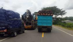 Warga Mamuju Tengah Keluhkan Truk Sawit Overload, Ancaman Keselamatan di Jalan Raya