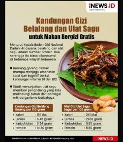 Tinggi Protein, Belalang dan Ulat Sagu Diproyeksikan Akan Masuk Daftar Menu Makan Bergizi Gratis!