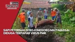 Sapi Peternak di Bojonegoro Mati Massal, Terpapar PMK?