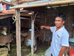 Aksi Pencurian Kambing Marak di Kota Probolinggo, Pelaku Jebol Tembok