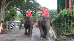 Parade Satwa dan Barongsai Meriahkan Libur Imlek di Taman Safari Prigen