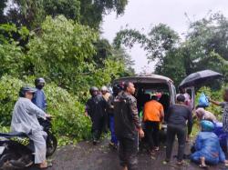 Melintas di Jalan Weleri-Sukorejo, Pengendara Motor Meninggal Tertimpa Pohon