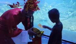 Spektakuler! Kungfu Show dalam Air & Dewa Rezeki Meriahkan Imlek di Aquarium Indonesia Pangandaran