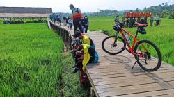 Tempat Wisata di Cipaku Bogor Selatan, Nomor 3 Enggak Jauh dari Stasiun Bogor