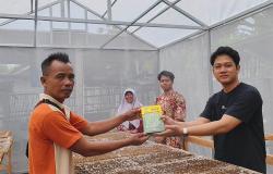 Penuhi Kebutuhan Bibit Petani, UGM Dirikan Rumah Pembibiatan di Pesisir Sanden