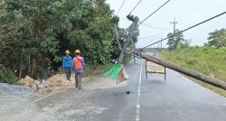 Marak Tambang Timah Ilegal, Tiang Listrik Tumbang Bikin 4 Desa di Parittiga Mati Lampu