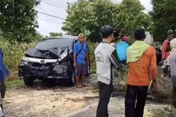 Pohon Asam Besar Tumbang di Jalan Raya Sukodadi-Paciran Timpa Minibus Lewat