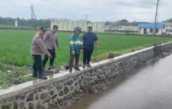 Pekerja Sawah di Jombang Bernasib Tragis, Tewas Akibat Menghirup Pestisida, Begini Kronologinya