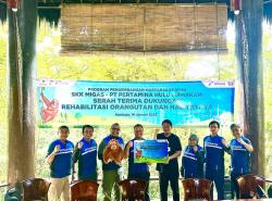 Lindungi Satwa Endemik Kalimantan, Pertamina Hulu Mahakam Dukung Rehabilitasi Habitat Orangutan