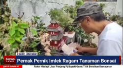 (VIDEO) Karya Lie Ming San Pecinta Bonsai Garut Buat Pernak Pernik Sambut Imlek 2576