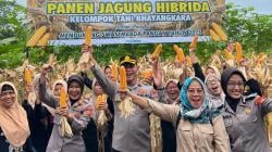 Polres Ciamis Gelar Panen Raya Jagung, Wujudkan Ketahanan Pangan