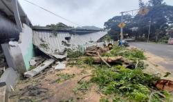 Pohon Tumbang Rusak Rumah Warga hingga Menutup Akses Jalan Kuningan-Majalengka