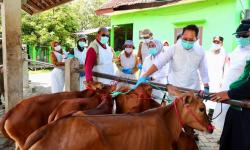 Wabah PMK Mengganas di Jatim, 350 Ekor Ternak Terinfeksi Setiap Hari, Status Darurat Ditetapkan