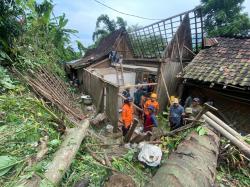 Angin Kencang, Pohon Tumbang Timpa Rumah Warga