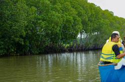 FADS: Cara Kerja dan Perlindungannya untuk Mangrove Baru