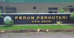 Ribuan Hektar Hutan KPH Ngawi Diajukan sebagai Penopang Program MBG, Tinggal Menunggu Keputusan KLHK