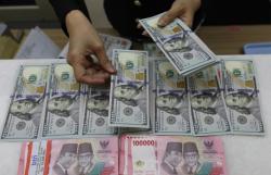 Heboh Dolar Anjlok! Google Jelaskan Alasan Kurs Dolar AS ke Rupiah Tiba-tiba Jadi Rp8.170