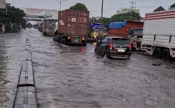 Mahasiswa Desak Pemerintah Segera Atasi Banjir Rob di Jalan Pantura Semarang-Demak