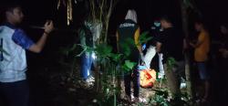 Geger! Warga Temukan Jasad Bayi Membusuk di Perkebunan Pandeglang