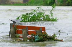 Puluhan Hektar Sawah di Bondowoso Terendam Banjir