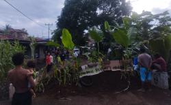 Warga Lewopao Tanam Pisang di Jalan dan Bakar Ban, Protes Janji Pemerintah yang Tak Kunjung Dipenuhi