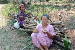 Masyarakat Pedalaman Lebak Gunakan Kayu Sebagai Bahan Bakar, Lebih Nyaman dan Murah