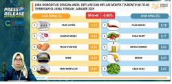 BPS: Jateng Alami Deflasi -0,46 Persen Imbas Diskon Tarif Listrik