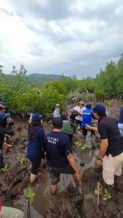 PT. Autore dan Sorce Indonesia Menanam 10 Ribu Bibit Mangrove di Bangko Bangko  Sekotong